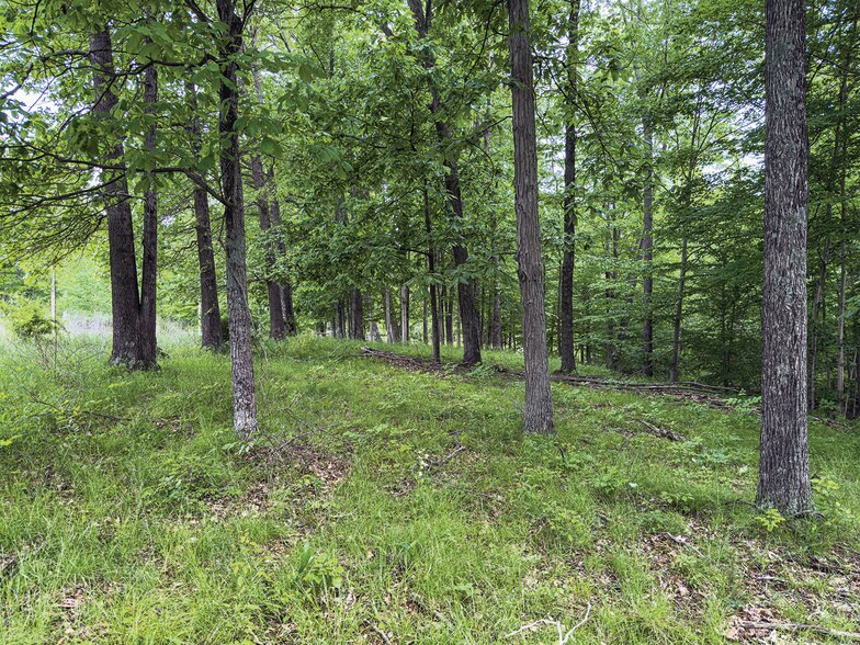 More Photos Of 2475 W County Road 1050 S, Cloverdale Land For Sale