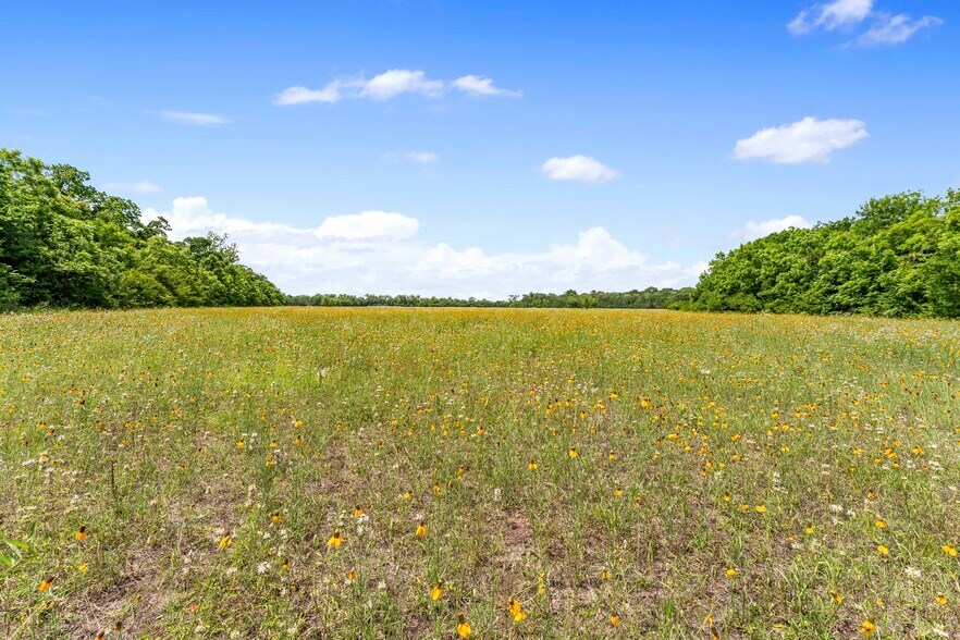 More Photos Of 10840 FM 442, Boling Land For Sale