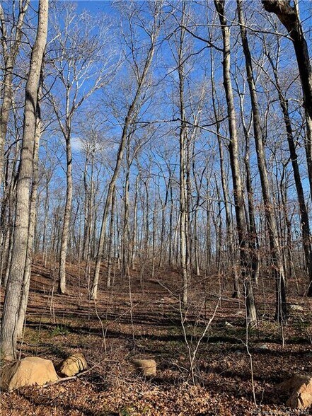 More Photos Of Lot 4 Killingworth Turnpike @ End of Stonewall Lane, Clinton Land For Sale