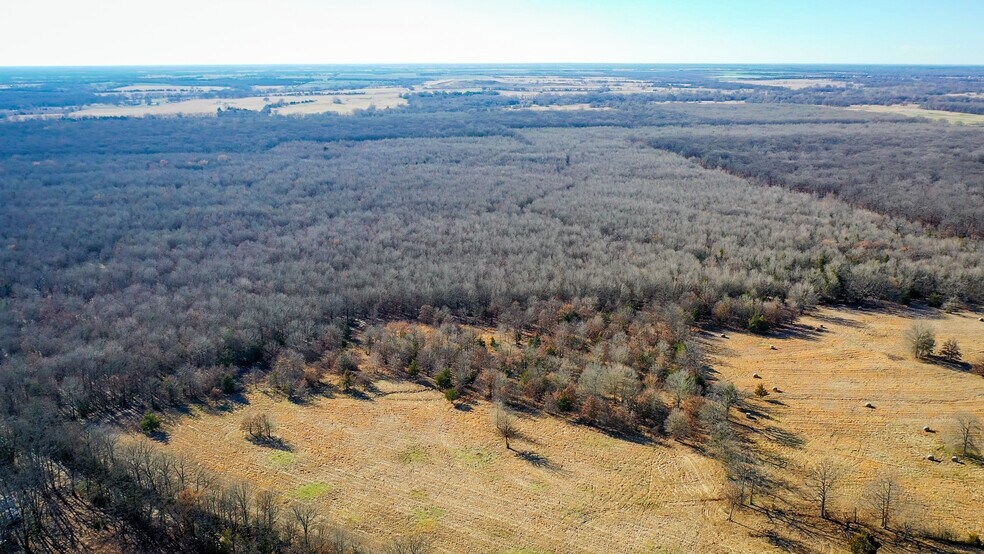 More Photos Of 1200 County 1255 rd, Detroit Land For Sale