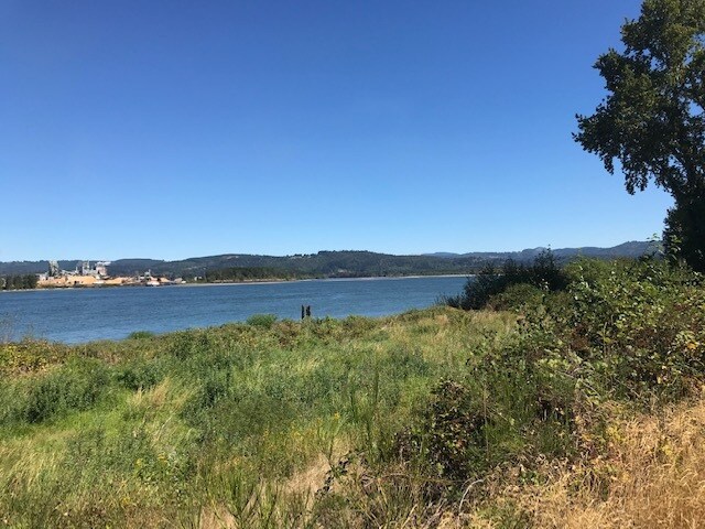 More Photos Of 209 W A St, Rainier Land For Sale