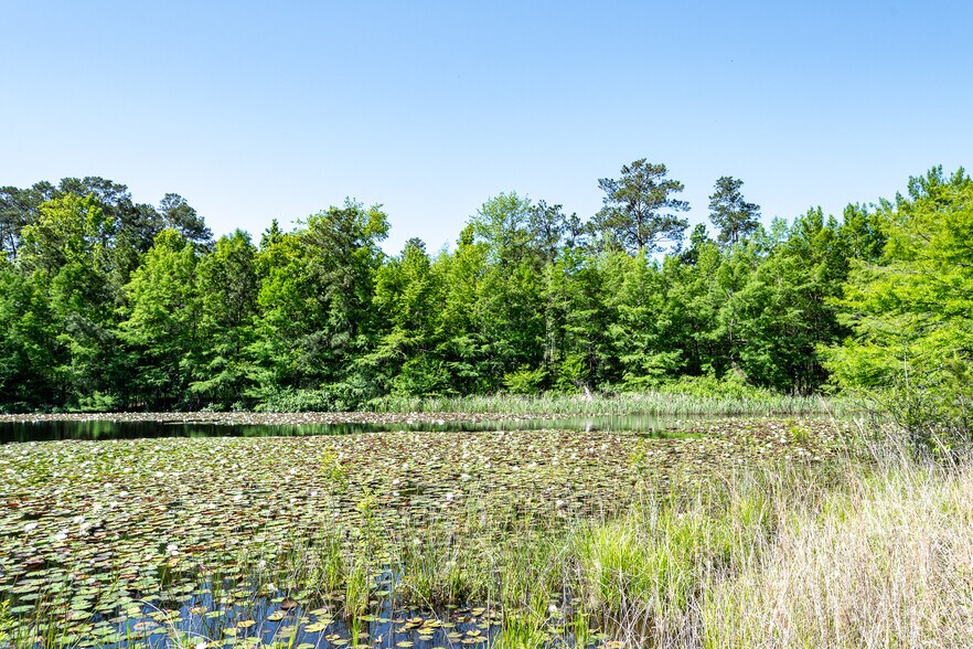 More Photos Of 1331 McCaleb Rd, Montgomery Land For Sale