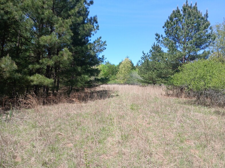 More Photos Of 414000 E 1920 Rd, Antlers Land For Sale
