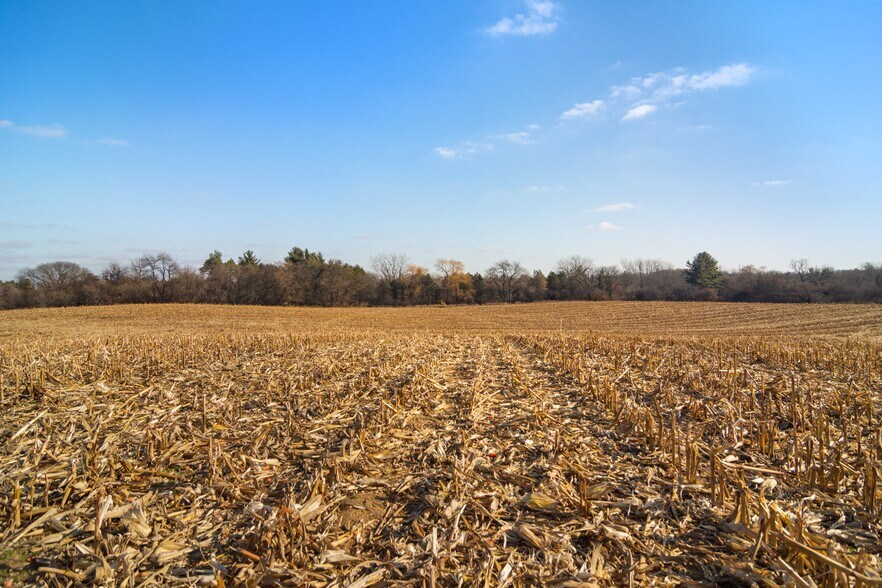 More Photos Of 19925 W Indian Creek Rd, Long Grove Land For Sale