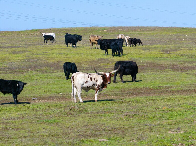 More Photos Of 0 Creston Road, Paso Robles Land For Sale