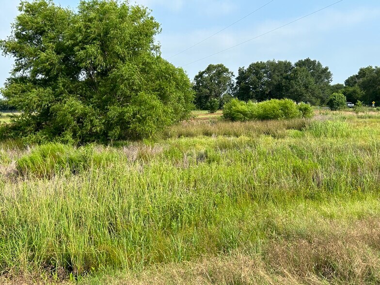 More Photos Of South US Hwy 79/84, Palestine Land For Sale