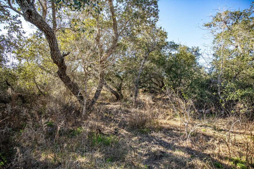 More Photos Of 6498 Highway 35 North, Rockport Land For Sale