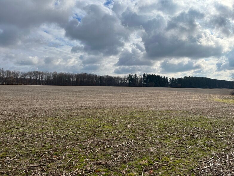 More Photos Of 0 V/L Green St., Springport Land For Sale