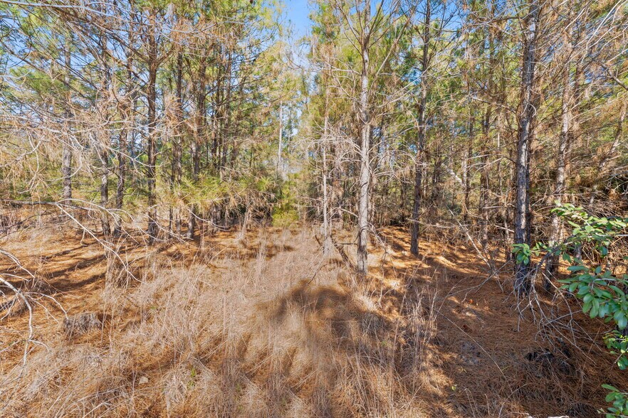 More Photos Of Lot 65 State Highway 21, Bastrop Land For Sale