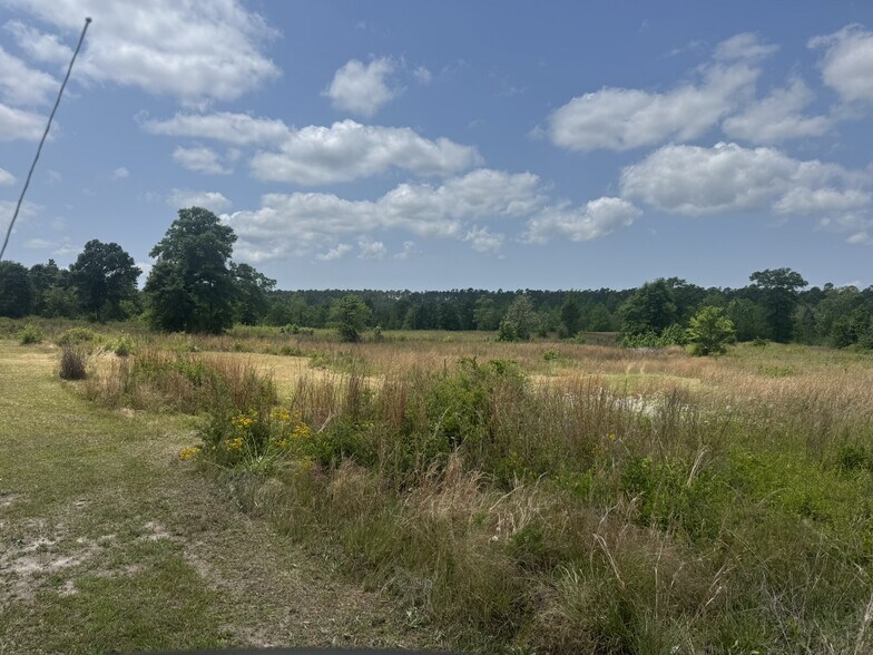 More Photos Of 39207 State Highway 59, Bay Minette Land For Sale