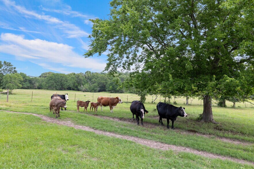 More Photos Of 1574 Highway 30, Anderson Land For Sale