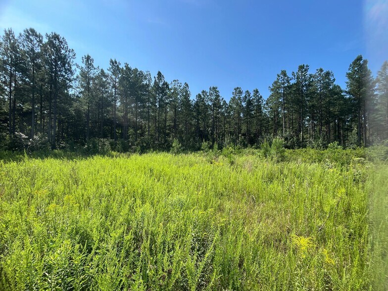 Primary Photo Of 001 Johnson Rd, Mineral Land For Sale