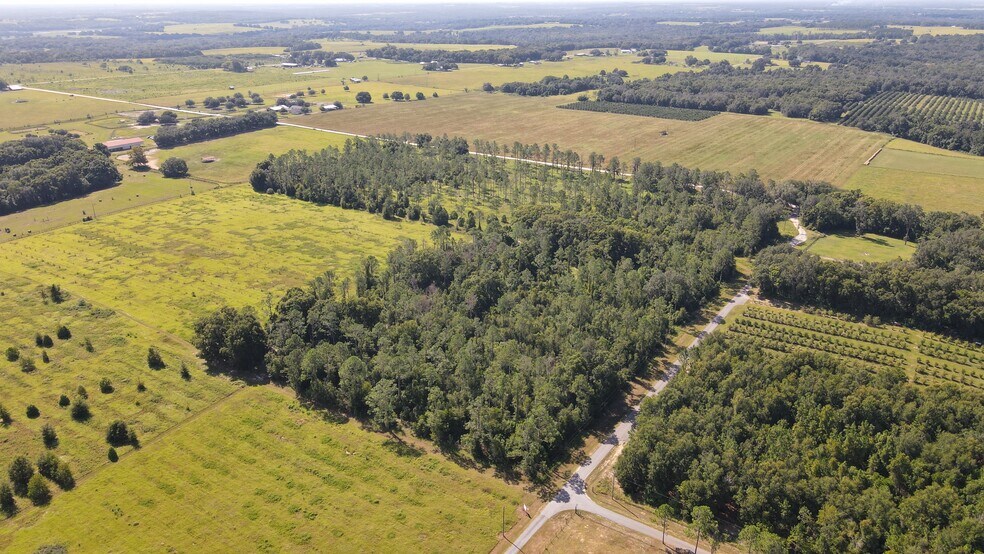 More Photos Of Amberlea Rd, Dade City Land For Sale