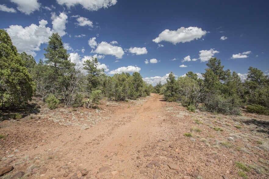 More Photos Of 1200 Airport, Payson Land For Sale