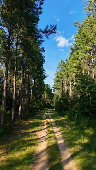 More Photos Of 2784 Furman L Fendley Hwy, Jonesville Land For Sale