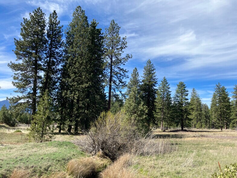 More Photos Of , Weed Industrial For Sale