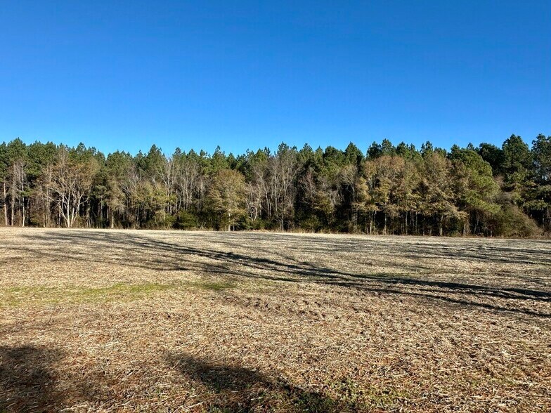 More Photos Of US Highway 301 N, Micro Land For Sale