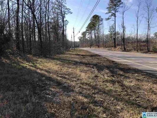 More Photos Of 12970 Highway 25, Calera Land For Sale