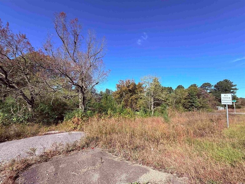 More Photos Of 101 Indian Trl, Bald Knob Land For Sale