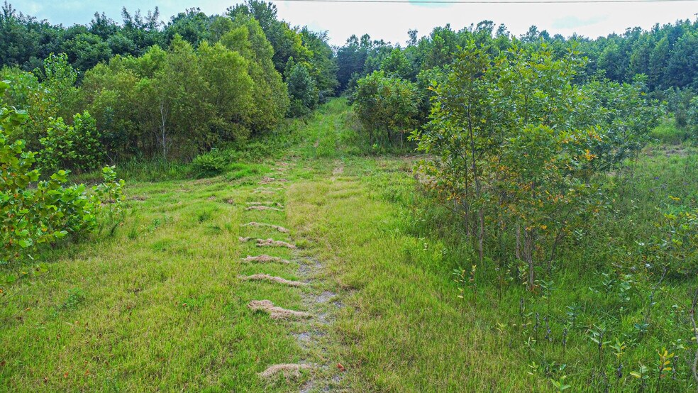 More Photos Of 957 Truck Plaza Ln, Calvert City Land For Sale