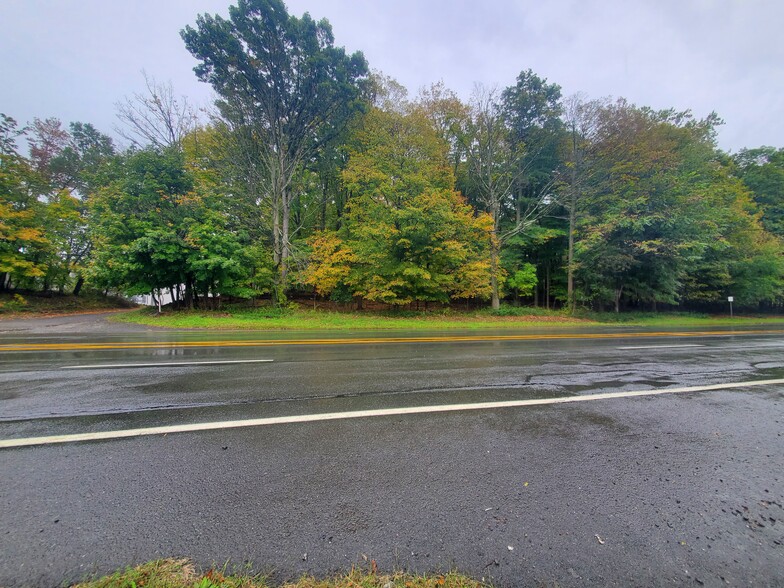 Primary Photo Of 613 Route 303, Blauvelt Land For Sale