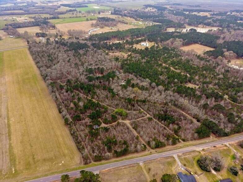 More Photos Of 250 Lee Paul Rd, Hawkinsville Land For Sale