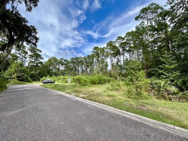 More Photos Of 97124 Elk Creek ct, Fernandina Beach Land For Sale