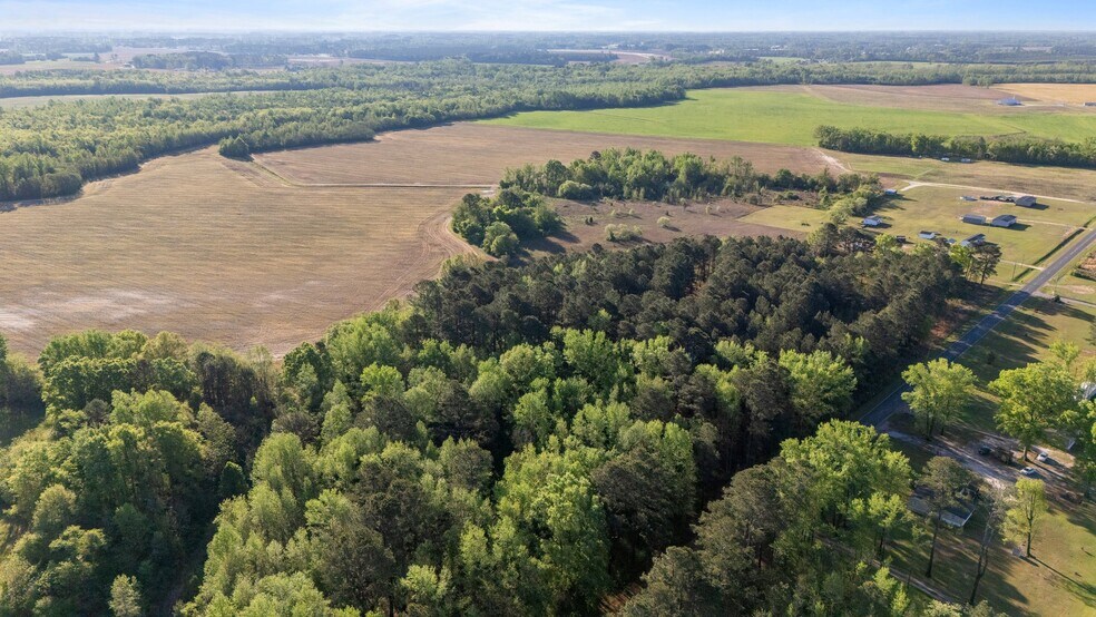More Photos Of 492 Doc Henderson Rd, Maxton Land For Sale