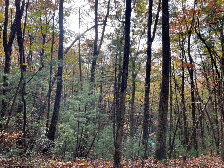 More Photos Of Whitecliff Drive, Ellijay Land For Sale