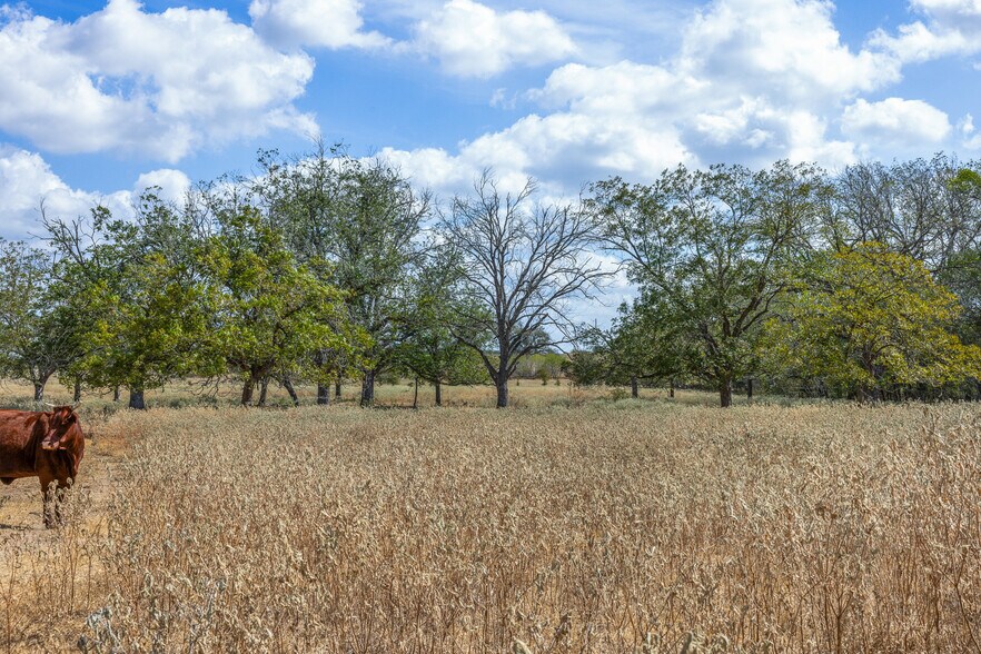 More Photos Of 11915 FM 86, Lockhart Land For Sale