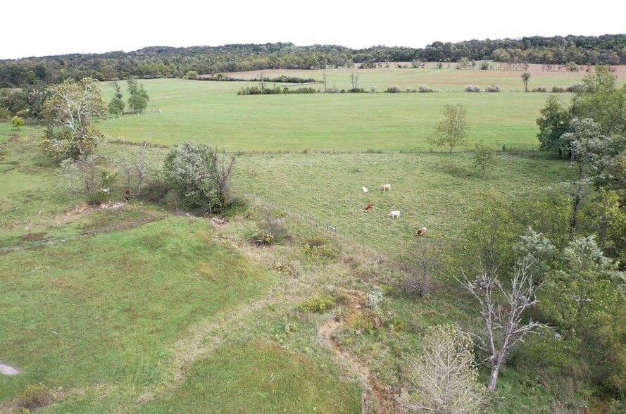 More Photos Of 3648 Dominion Rd, Gerrardstown Land For Sale