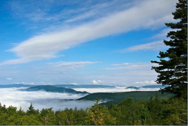 More Photos Of Westridge Rd, Dunmore Land For Sale