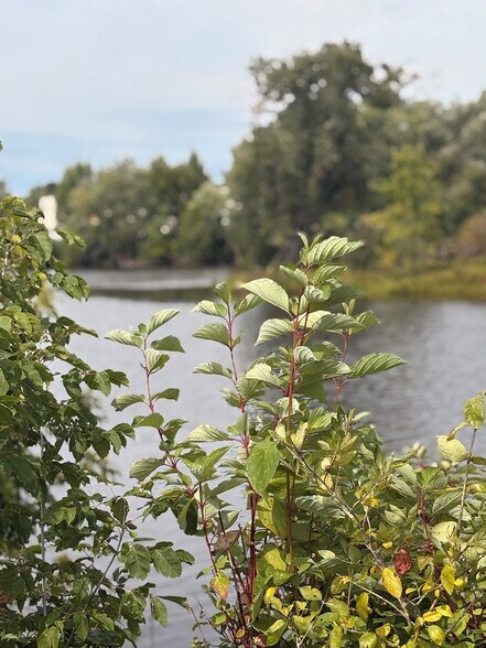 More Photos Of 1000 W Main St, Merrill Auto Repair For Sale