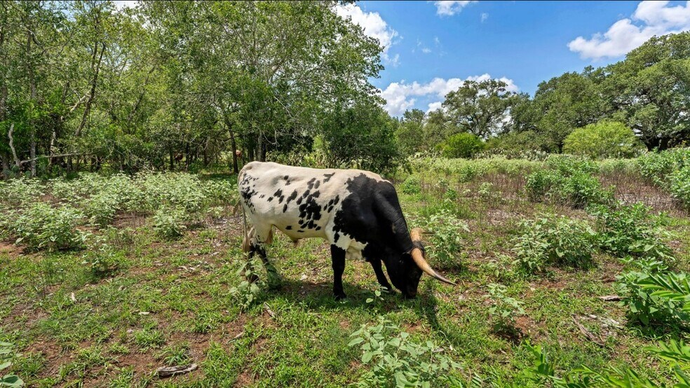 More Photos Of 209 FM 1344, Floresville Land For Sale