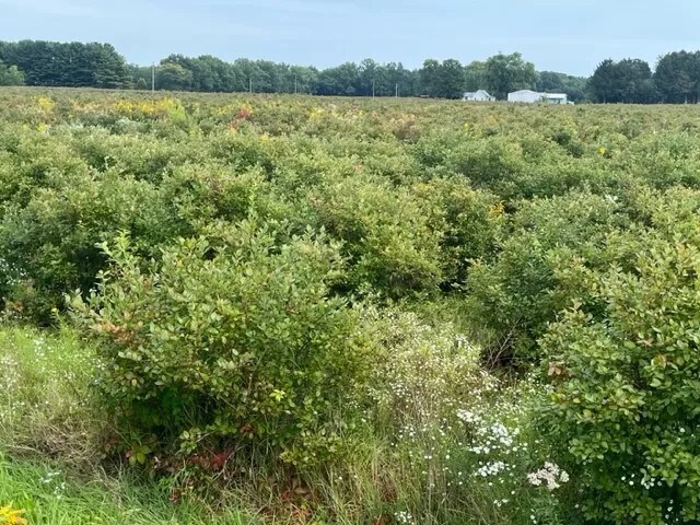 More Photos Of 9555 Gast Rd, Bridgman Shelter For Sale