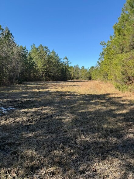 More Photos Of 0 Sniders Hwy, Walterboro Land For Sale