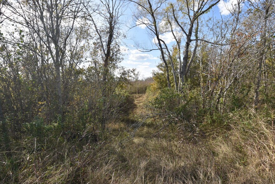 More Photos Of 201 County Road 224, Wharton Land For Sale