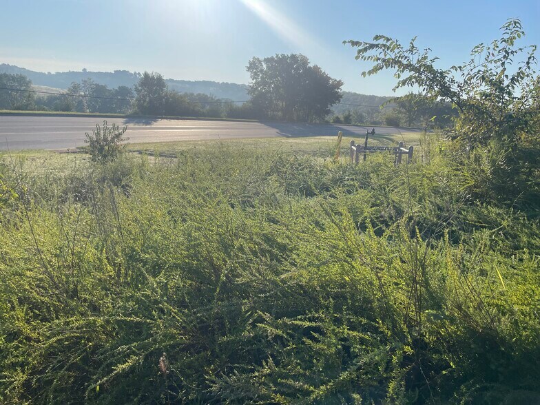 More Photos Of 328 Highway 65 S, Harrison Land For Sale