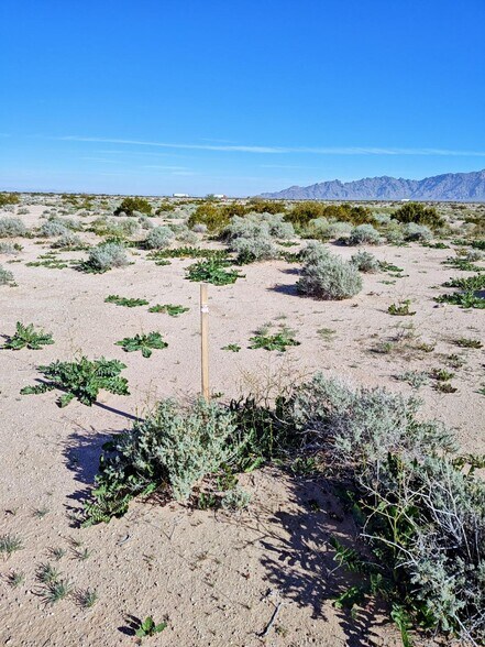 More Photos Of xxx Old US 80, Tacna Land For Sale
