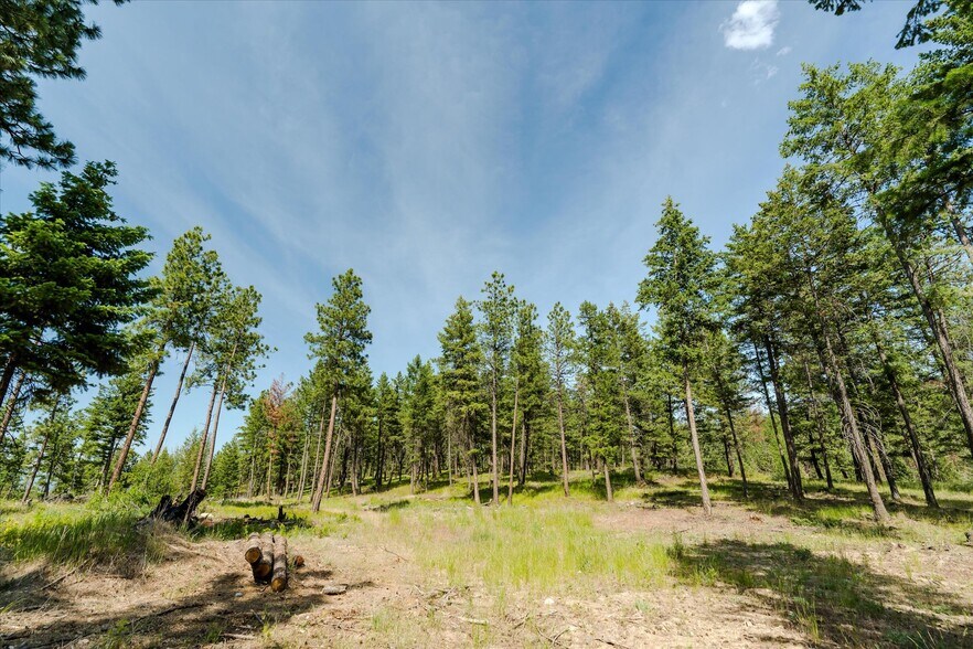 More Photos Of 327 Stone Mountain Rd, Rexford Land For Sale