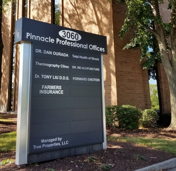 More Photos Of 3060-3080 Ogden Ave, Lisle Unknown For Lease