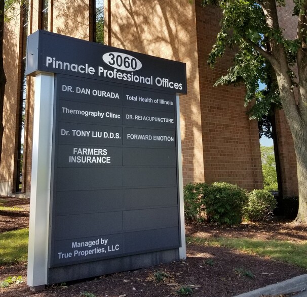 More Photos Of 3060-3080 Ogden Ave, Lisle Unknown For Lease