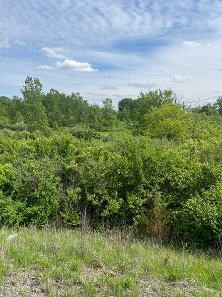 More Photos Of 6225 Scatterfield, Anderson Land For Sale