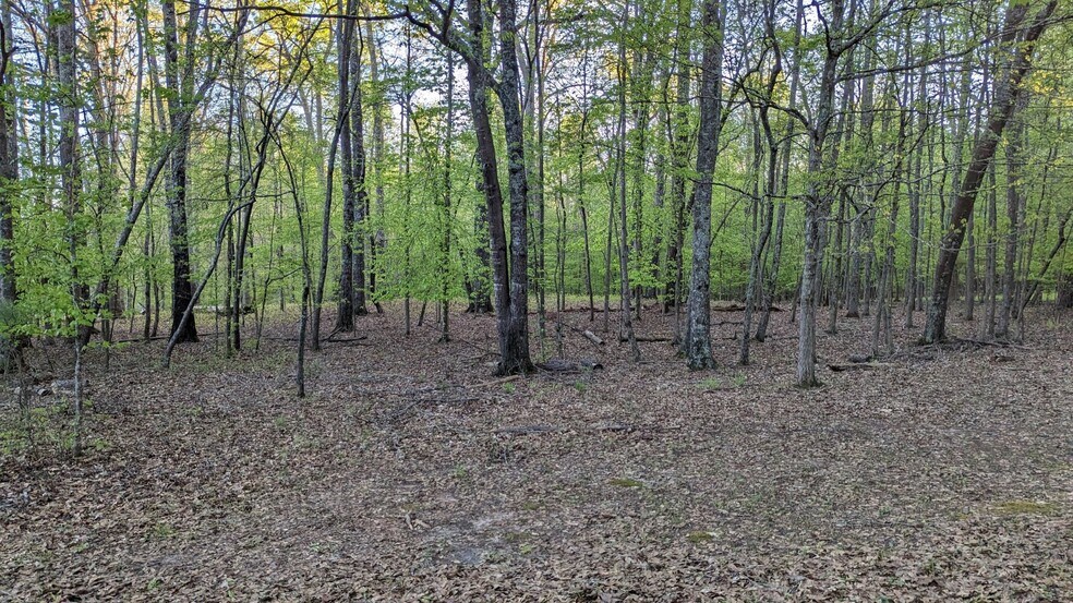 More Photos Of 0 Hathcock Road, College Park Land For Sale