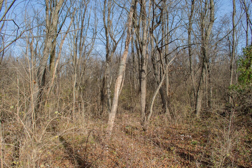 More Photos Of Remainder T.M Opequon Connector rd, Kearneysville Land For Sale