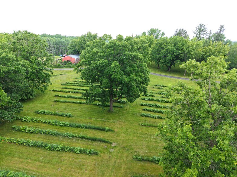 More Photos Of 35295 State 64, Laporte Winery Vineyard For Sale