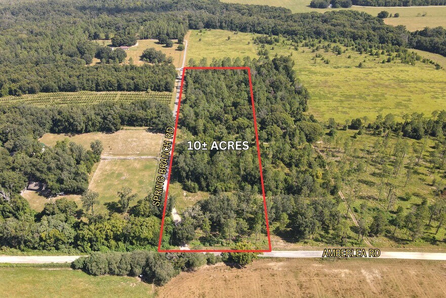 Primary Photo Of Amberlea Rd & Spring Branch Rd., Dade City Land For Sale