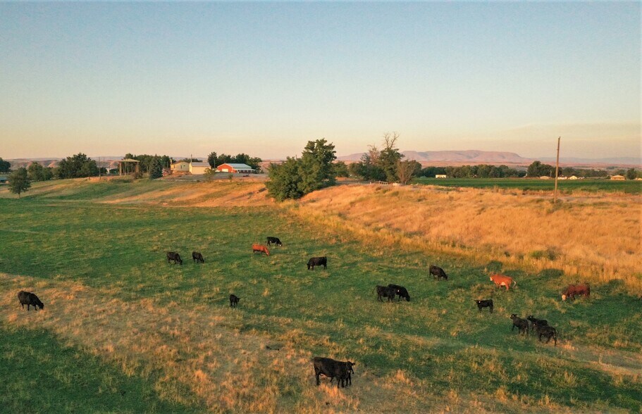 More Photos Of 5311 Hwy 72, New Plymouth Land For Sale