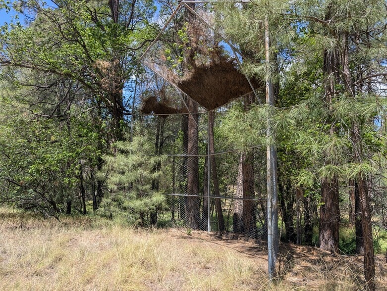 More Photos Of 101 Marapai Rd, Prescott Specialty For Sale