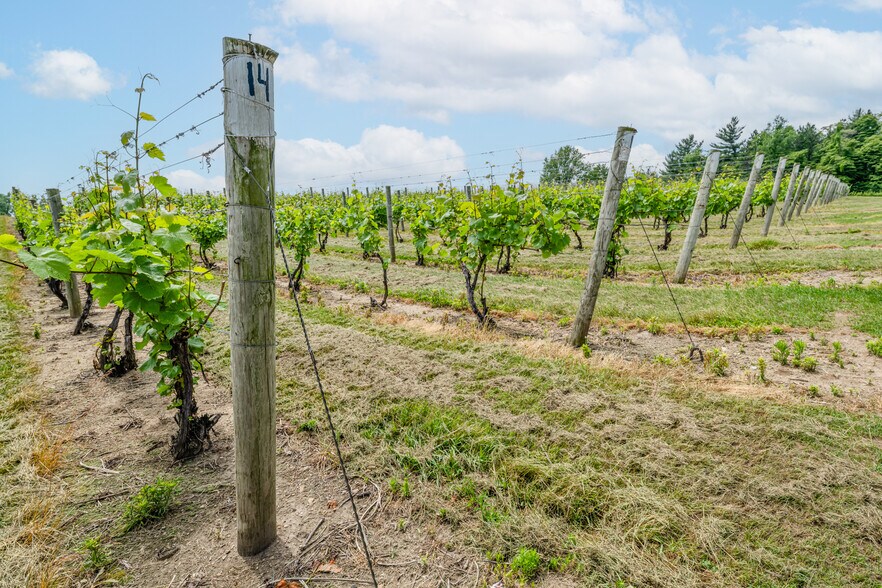 More Photos Of 10220 Lauer Rd, Baroda Winery Vineyard For Sale